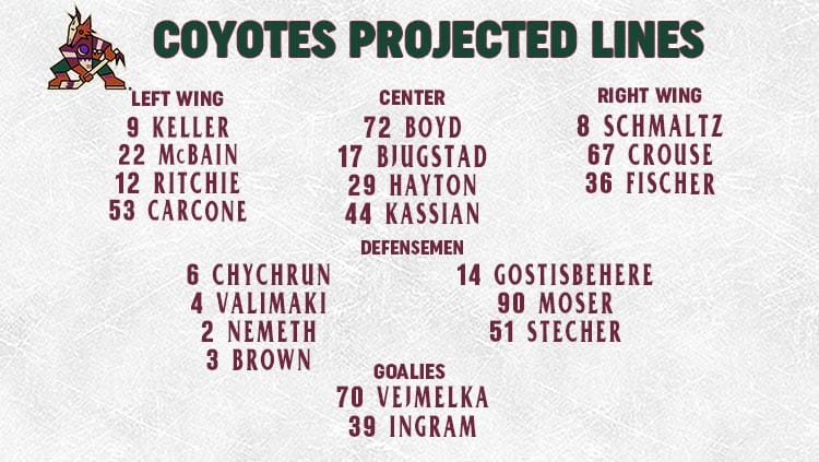Coyotes Lines