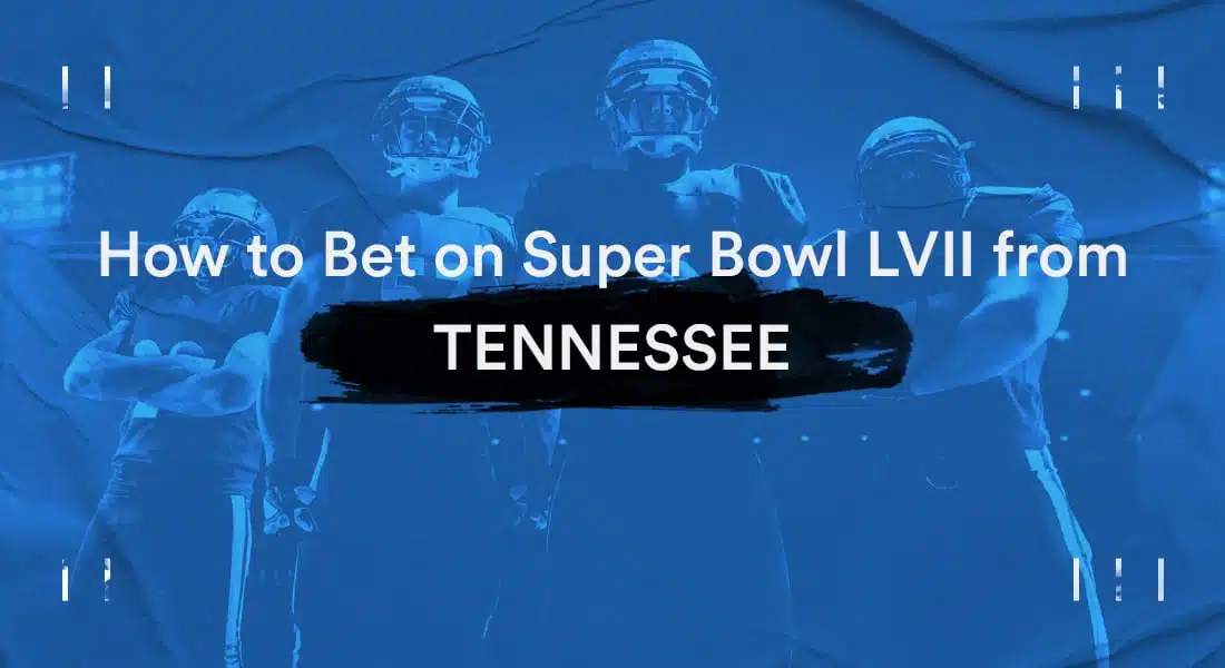 How To Bet On The Super Bowl In Tennessee – TN Super Bowl Betting Guide
