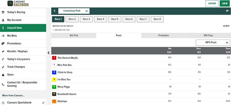 Caesars Horse Racing Odds