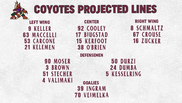 Coyotes Lines