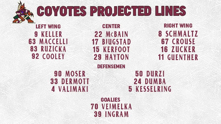 Coyotes Lines