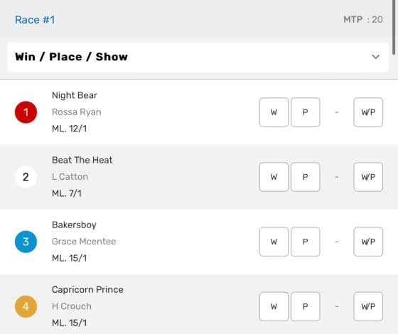 Bovada horse racing bets