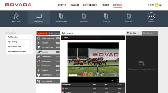 Bovada horse racing betting site