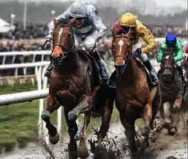 What Is Dead Heat Betting? How Does It Work and How Payouts Are Calculated