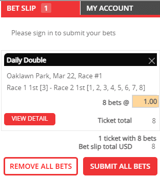 horse racing betting slip 10