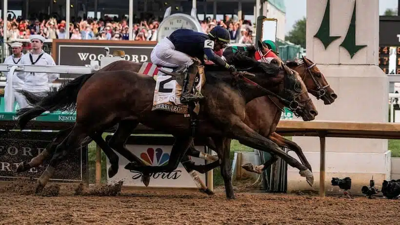 The 150th Kentucky Derby set several new betting handle records this past weekend