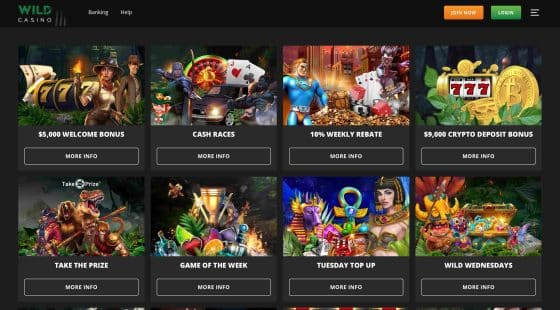 Wild Casino online casino bonus pa