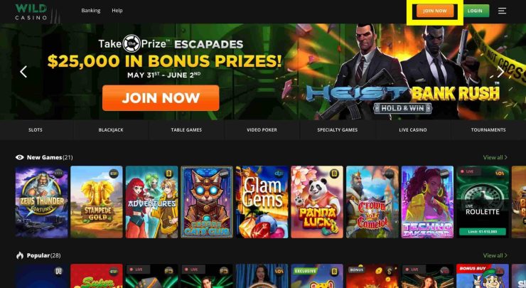 Visit Wild Casino