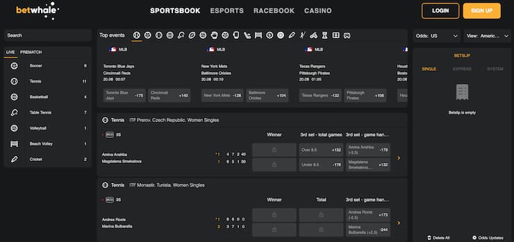 betwhale sportsbook review