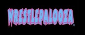 wrestlepalooza (1)